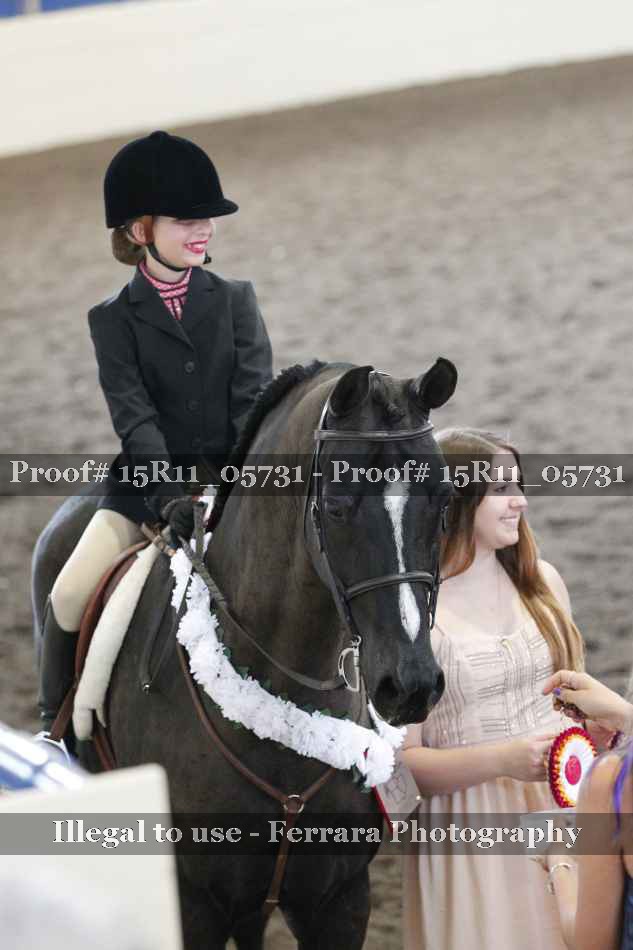 Proof Number 15R11_05731