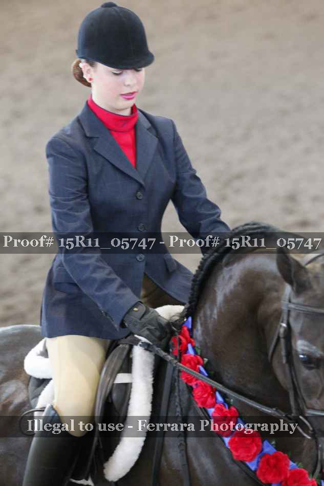 Proof Number 15R11_05747