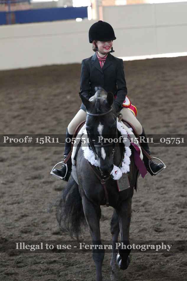 Proof Number 15R11_05751