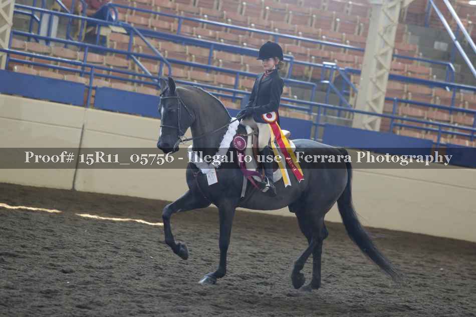 Proof Number 15R11_05756