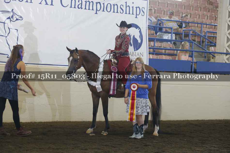 Proof Number 15R11_05803