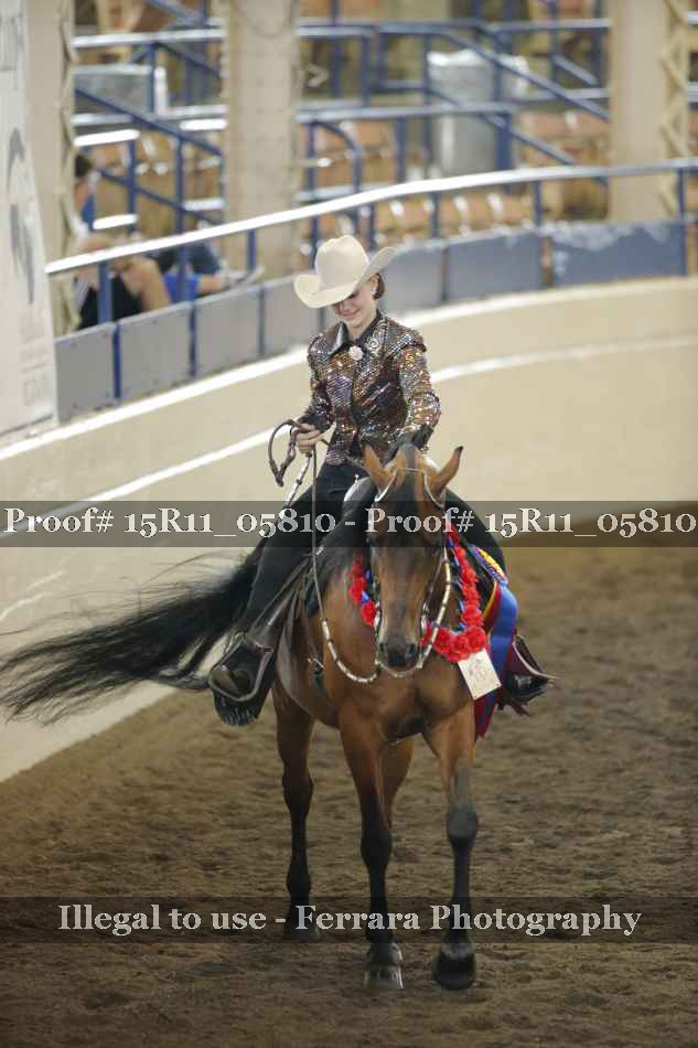 Proof Number 15R11_05810