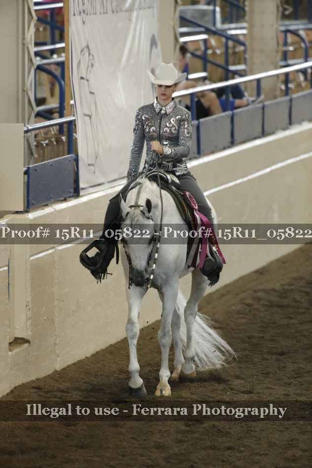 Proof Number 15R11_05822