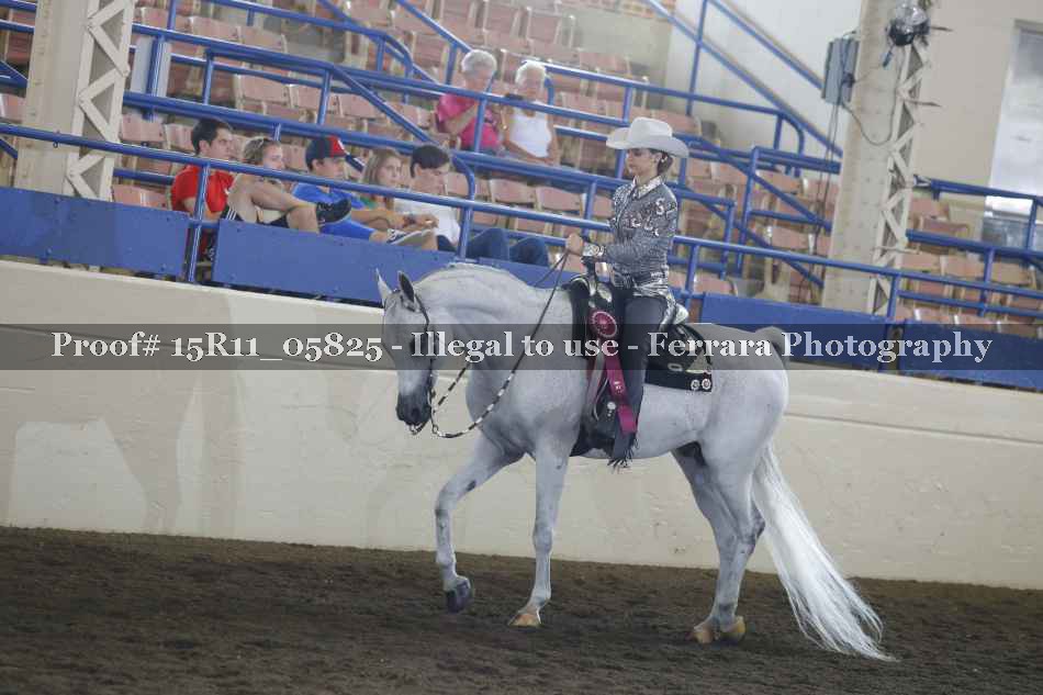 Proof Number 15R11_05825