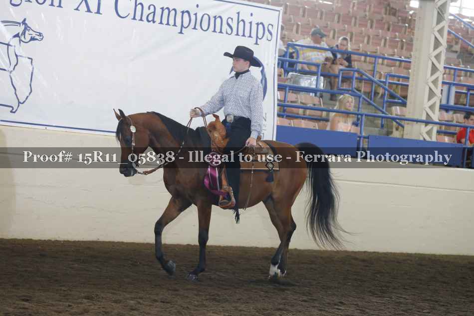 Proof Number 15R11_05838