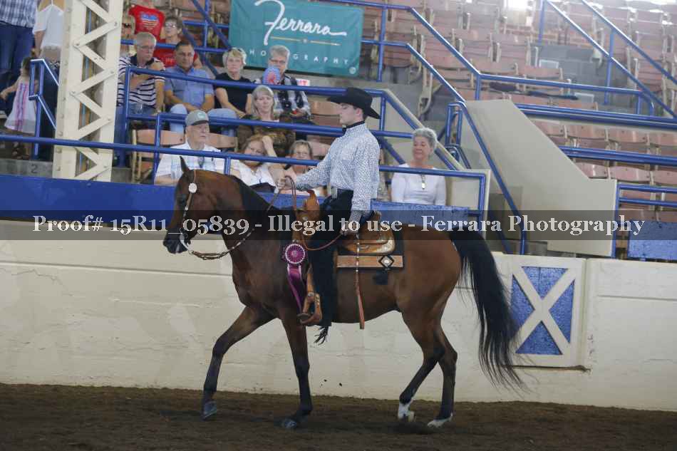 Proof Number 15R11_05839