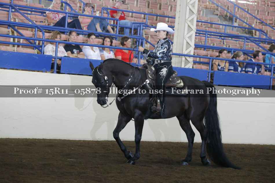 Proof Number 15R11_05878
