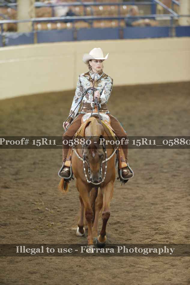 Proof Number 15R11_05880