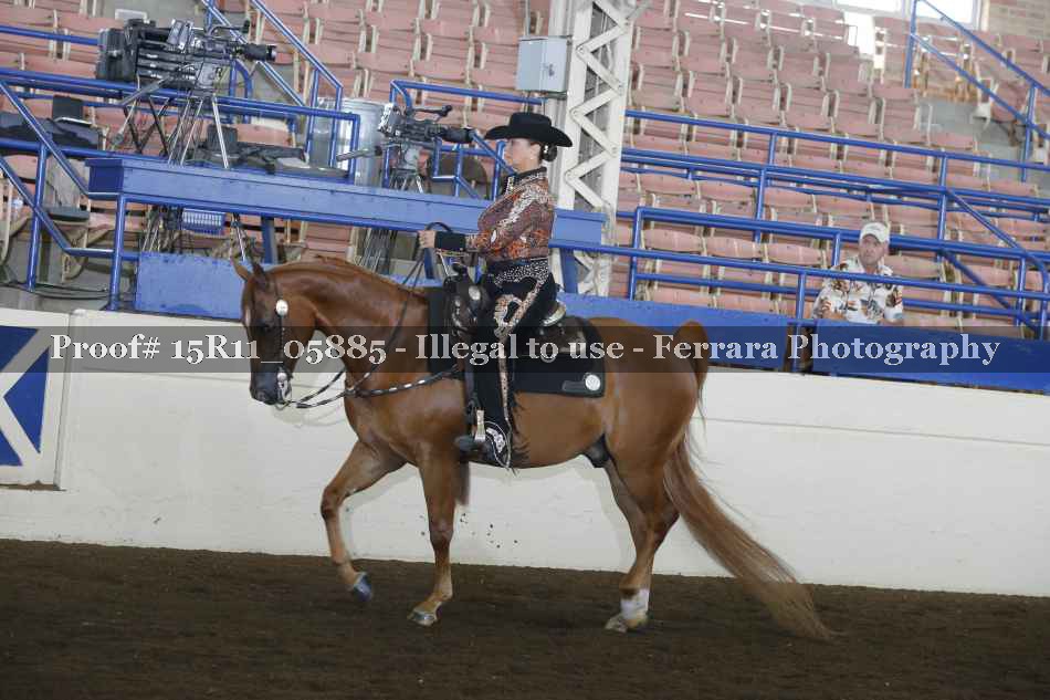 Proof Number 15R11_05885