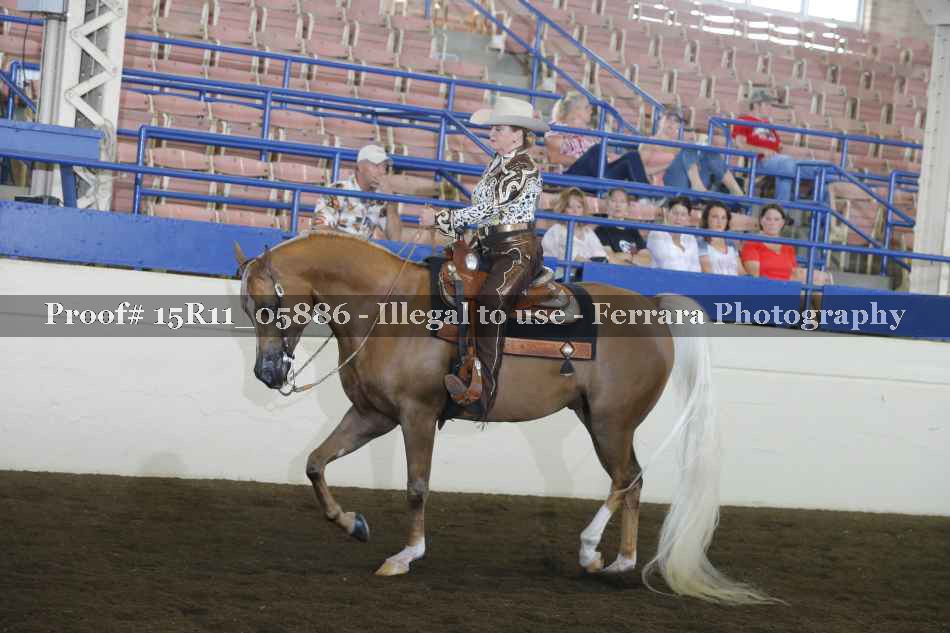 Proof Number 15R11_05886