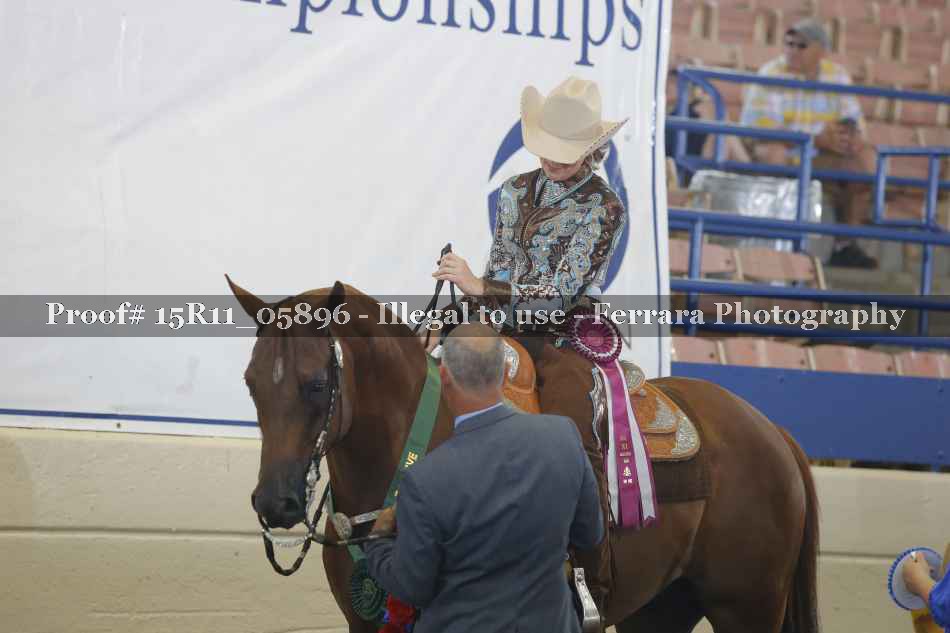Proof Number 15R11_05896
