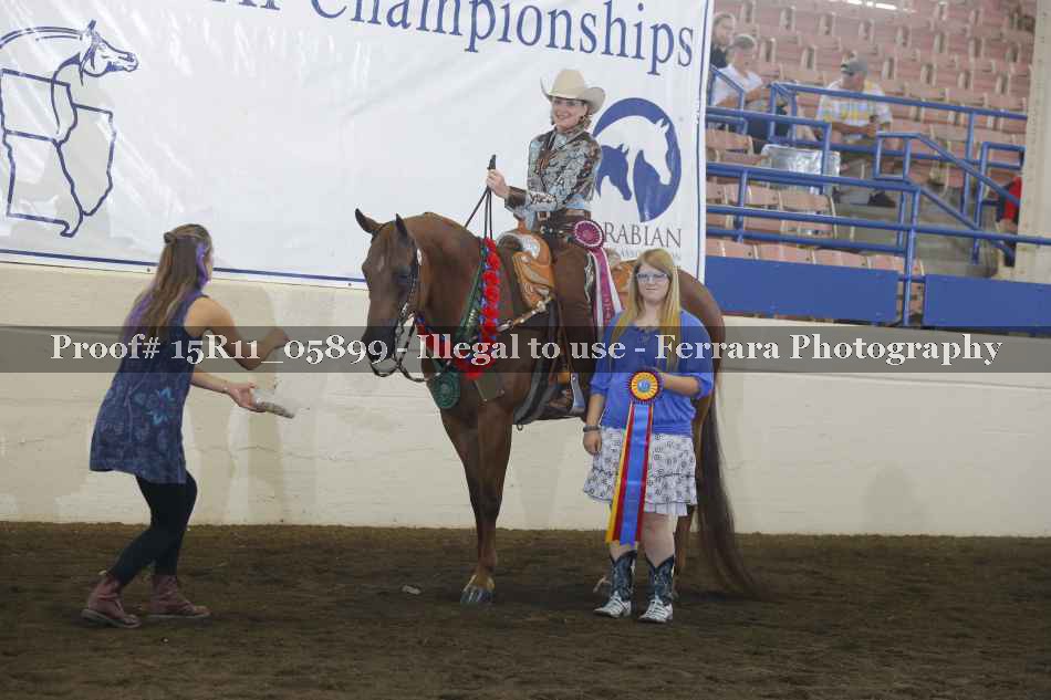 Proof Number 15R11_05899