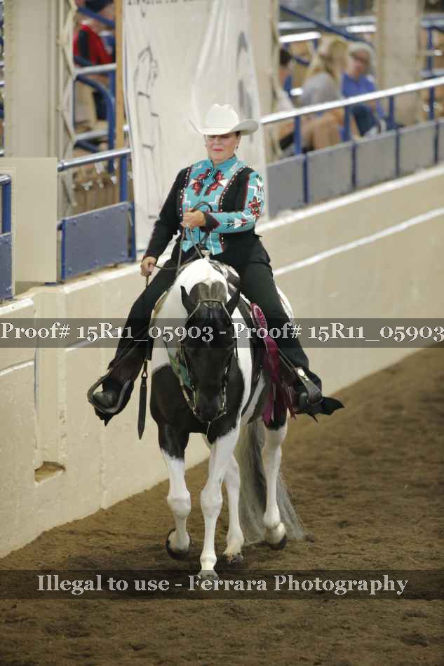 Proof Number 15R11_05903