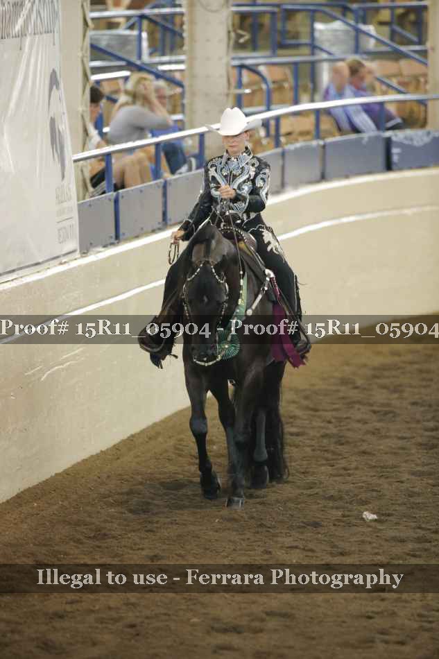 Proof Number 15R11_05904