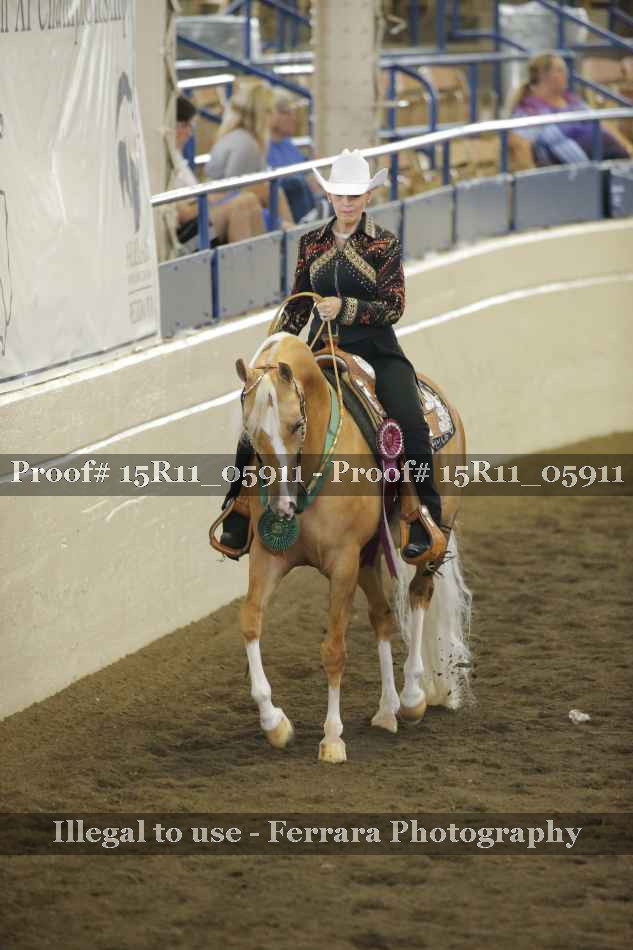 Proof Number 15R11_05911