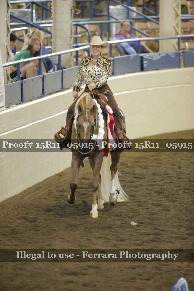 Proof Number 15R11_05915