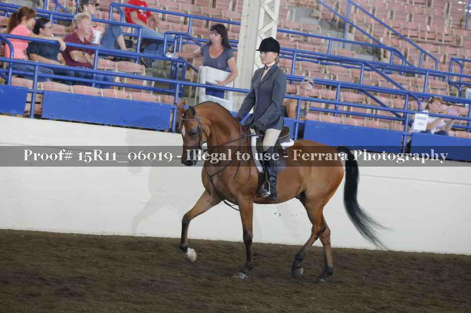 Proof Number 15R11_06019
