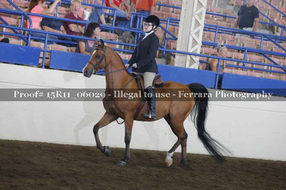 Proof Number 15R11_06029