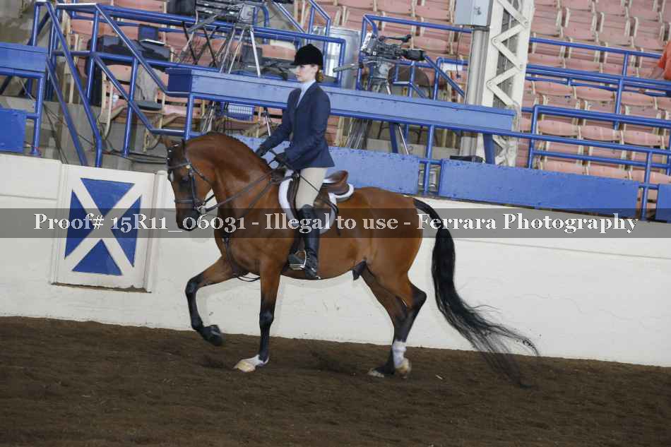 Proof Number 15R11_06031