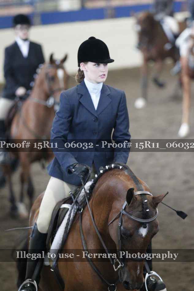 Proof Number 15R11_06032