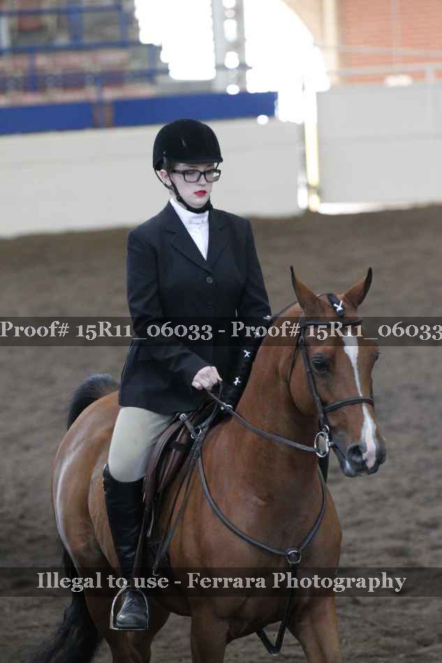Proof Number 15R11_06033
