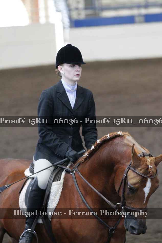 Proof Number 15R11_06036