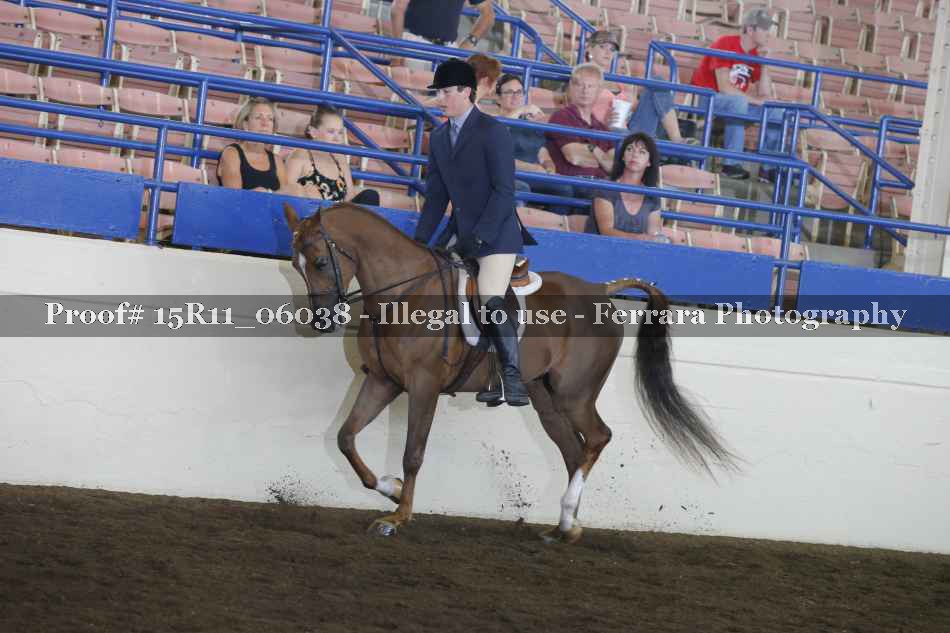 Proof Number 15R11_06038