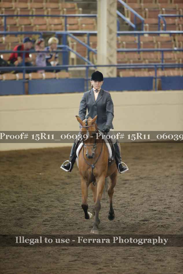 Proof Number 15R11_06039