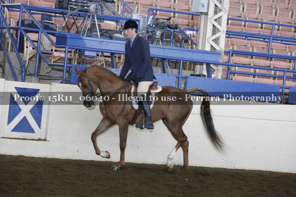 Proof Number 15R11_06040