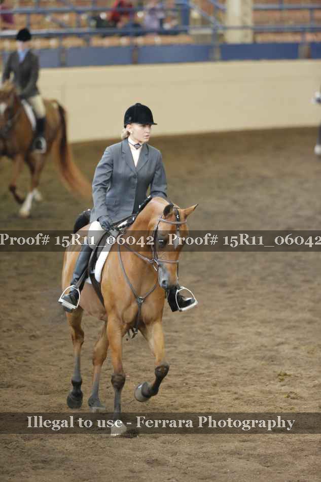 Proof Number 15R11_06042