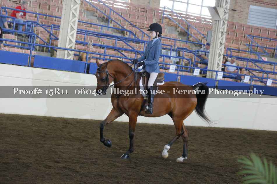Proof Number 15R11_06043