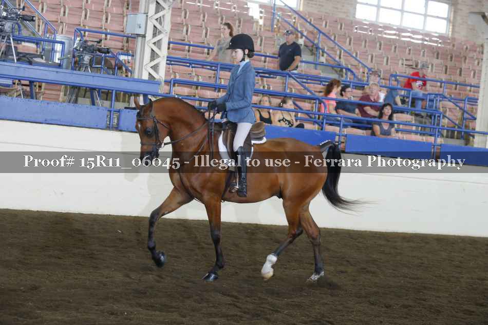 Proof Number 15R11_06045