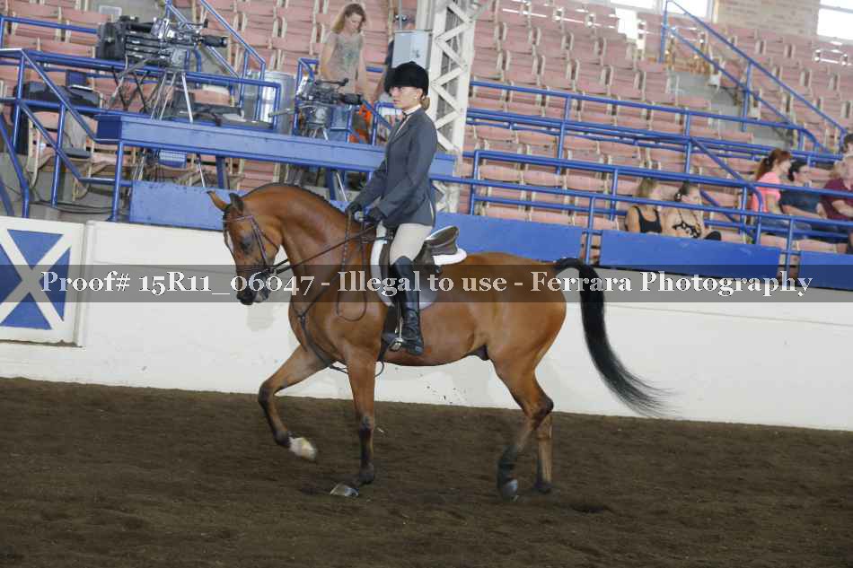 Proof Number 15R11_06047