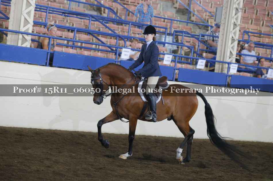 Proof Number 15R11_06050