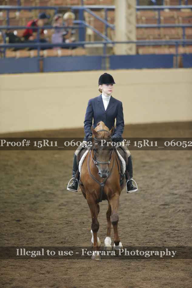 Proof Number 15R11_06052