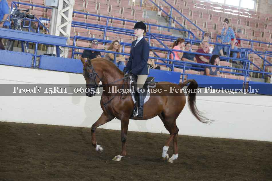 Proof Number 15R11_06054