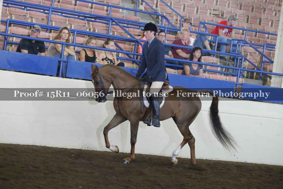 Proof Number 15R11_06056