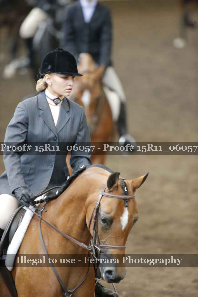 Proof Number 15R11_06057