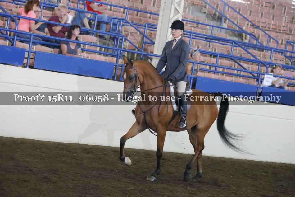 Proof Number 15R11_06058