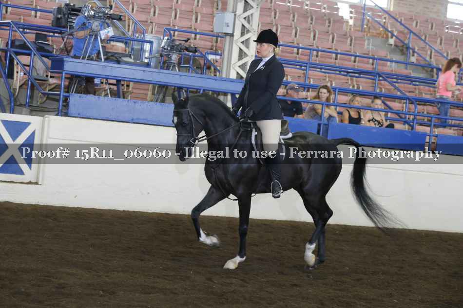 Proof Number 15R11_06060