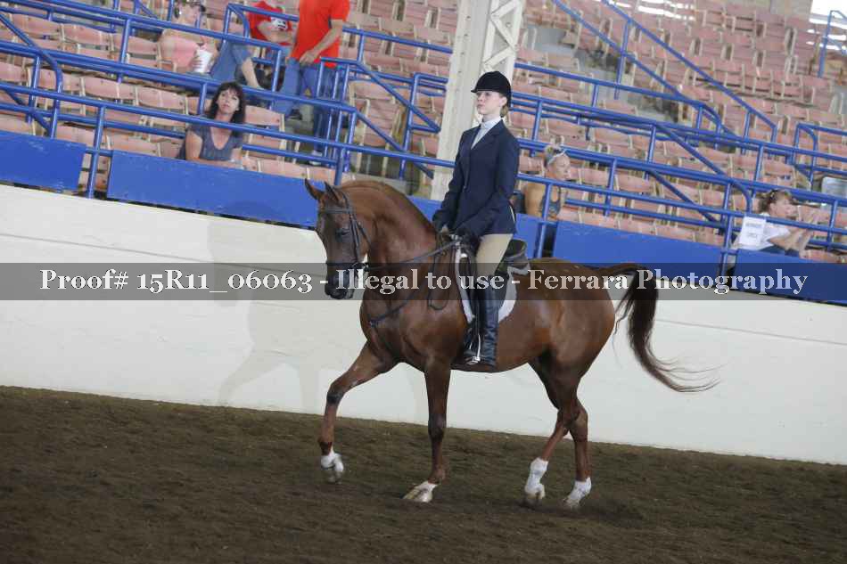 Proof Number 15R11_06063