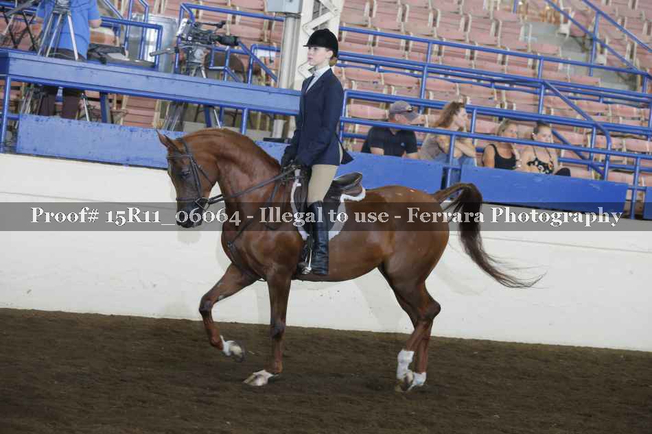 Proof Number 15R11_06064