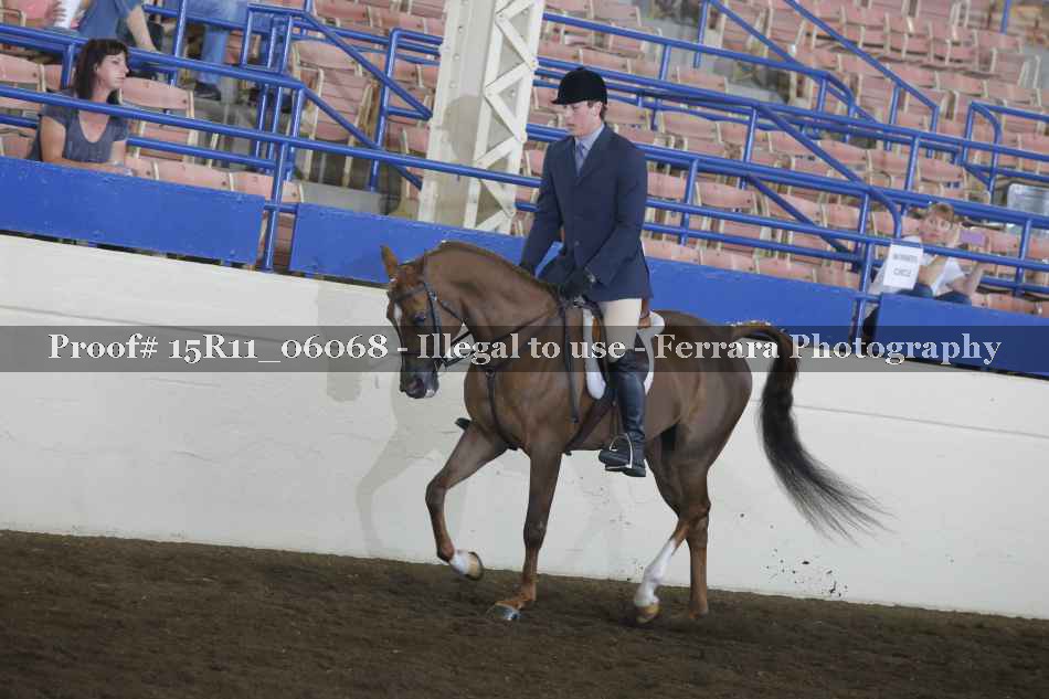 Proof Number 15R11_06068
