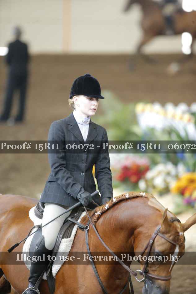 Proof Number 15R11_06072