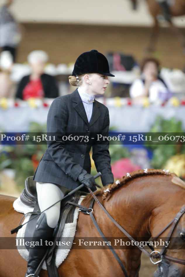 Proof Number 15R11_06073