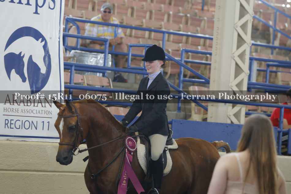 Proof Number 15R11_06075