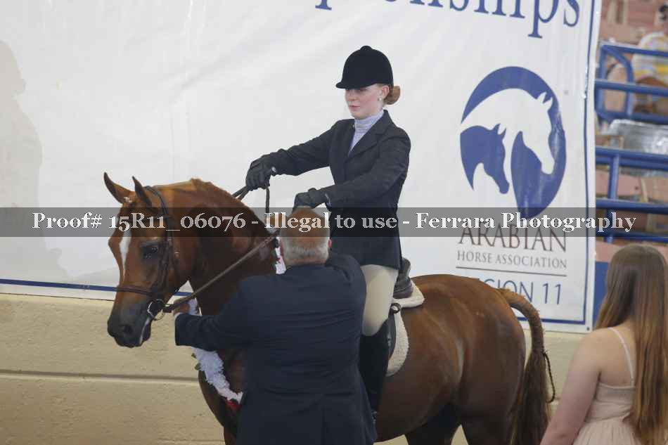 Proof Number 15R11_06076