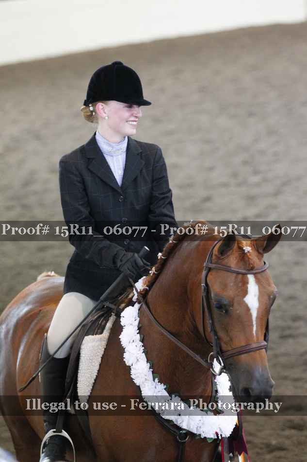 Proof Number 15R11_06077