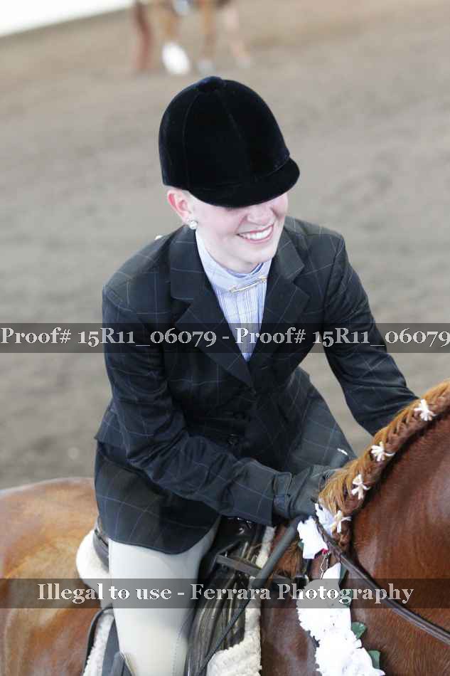 Proof Number 15R11_06079