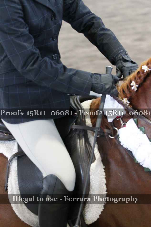Proof Number 15R11_06081